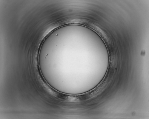 X0000101980794200808011058