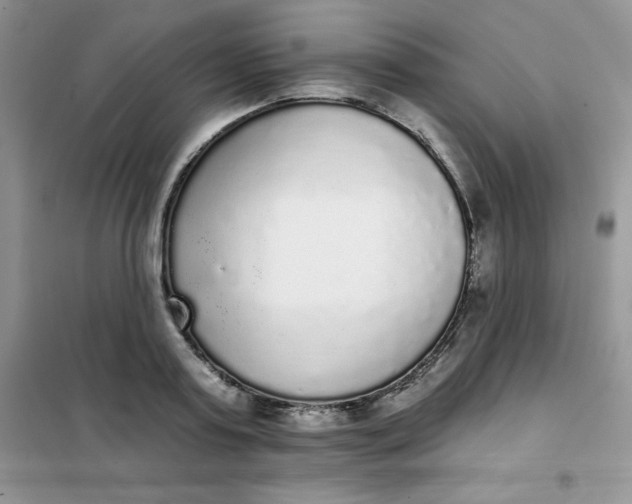 X0000101980795200808011058