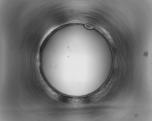 X0000101980796200808011058