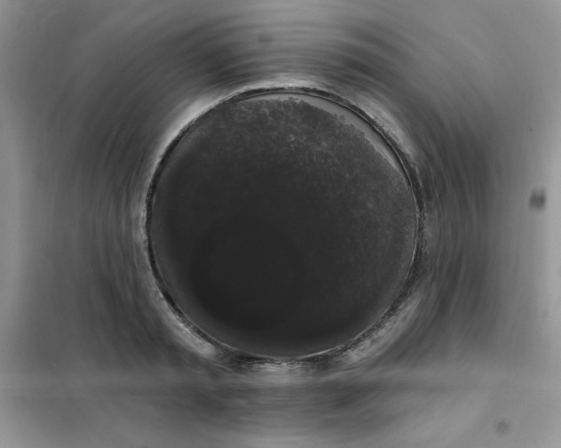 X0000101980797200808011058