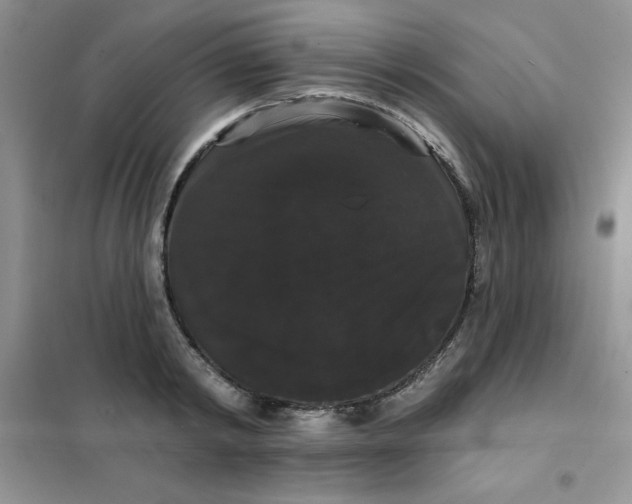 X0000101980798200808011058