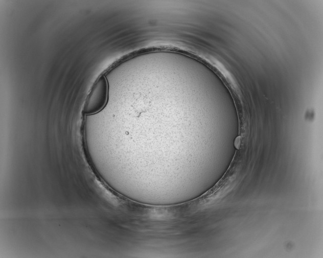 X0000101980799200808011058