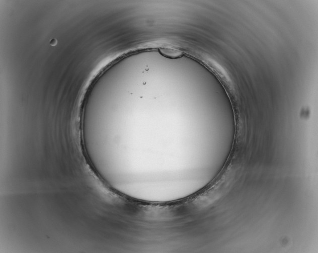 X0000101980800200808011058