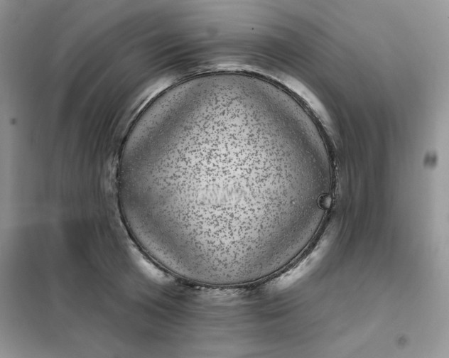 X0000101980801200808011058