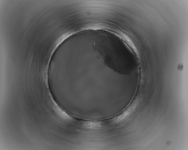 X0000101980802200808011058