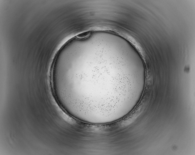 X0000101980803200808011058