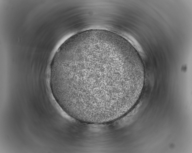 X0000101980804200808011058