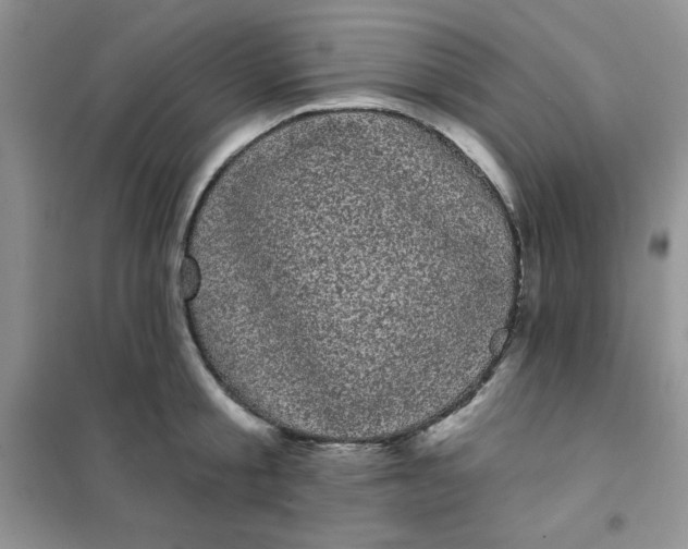 X0000101980805200808011058