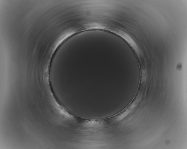 X0000101980806200808011058