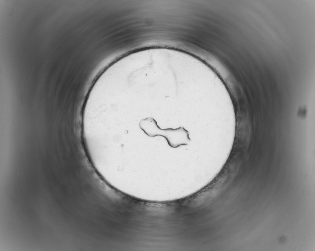 X0000101980807200808011058