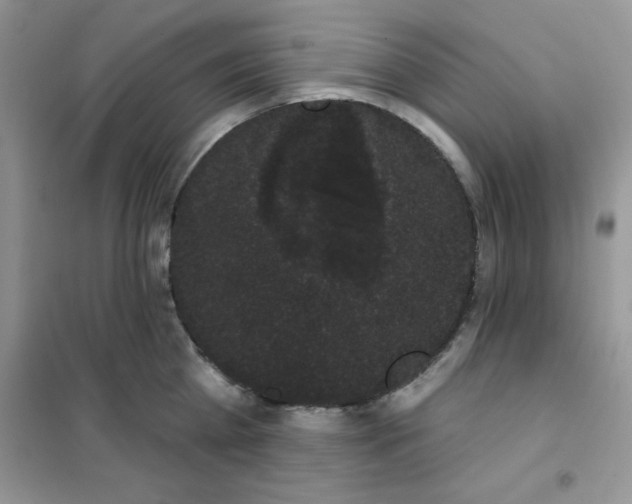 X0000101980809200808011058