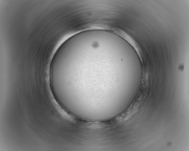 X0000101980811200808011058