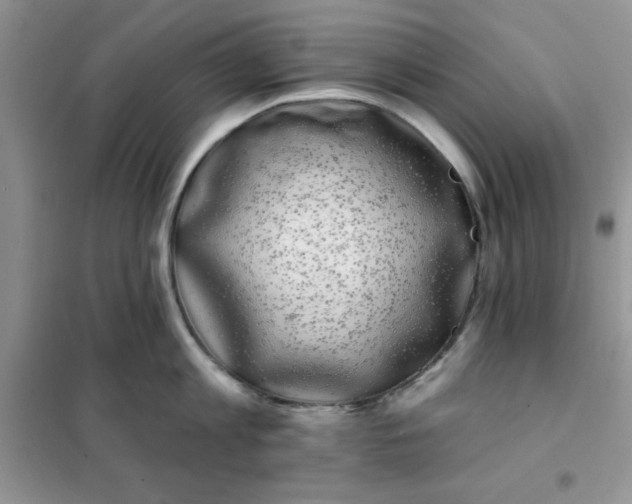 X0000101980813200808011058