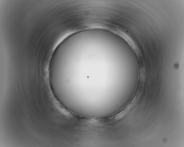 X0000101980814200808011058