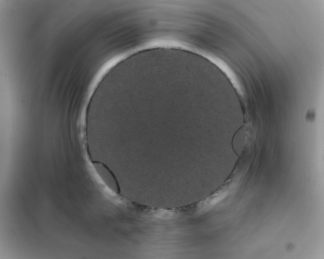 X0000101980815200808011058