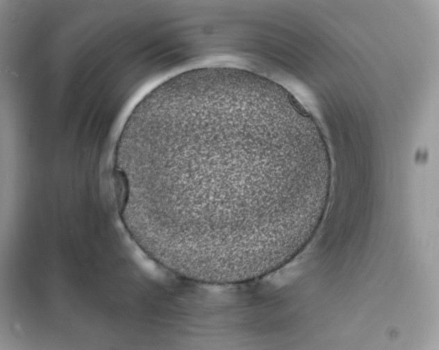 X0000101980816200808011058