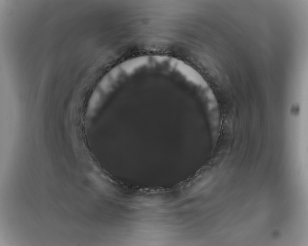 X0000101980817200808011057