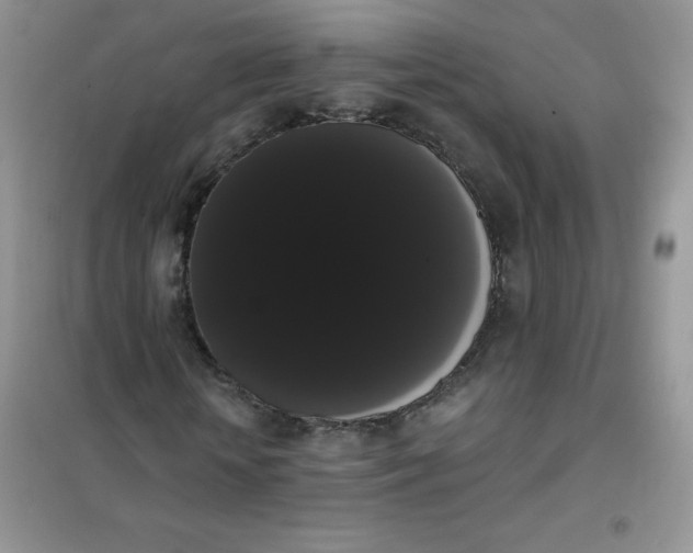 X0000101980818200808011057