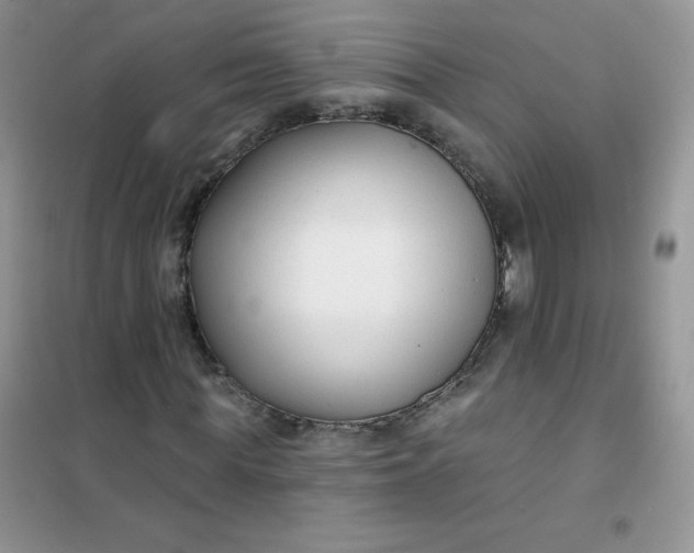 X0000101980819200808011057