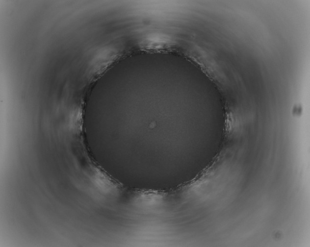 X0000101980820200808011057