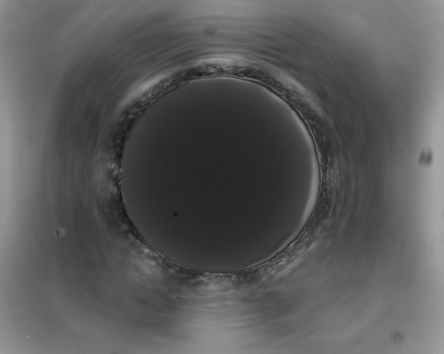 X0000101980822200808011057