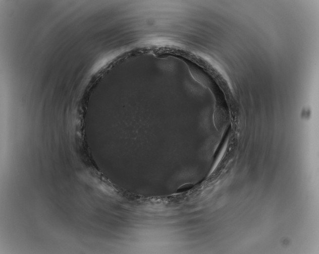 X0000101980823200808011057