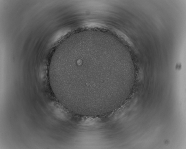 X0000101980824200808011057