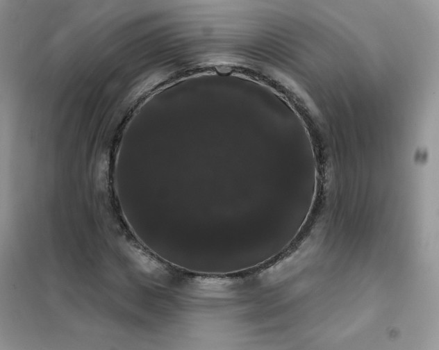 X0000101980825200808011057