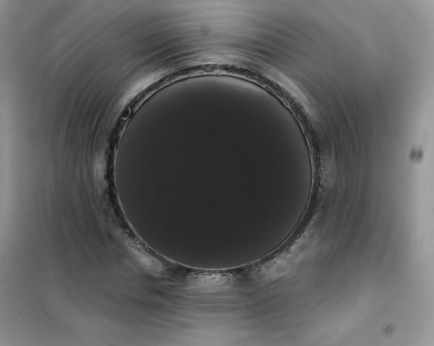 X0000101980826200808011057