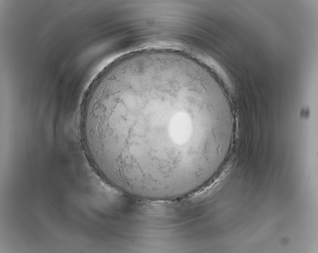 X0000101980828200808011057