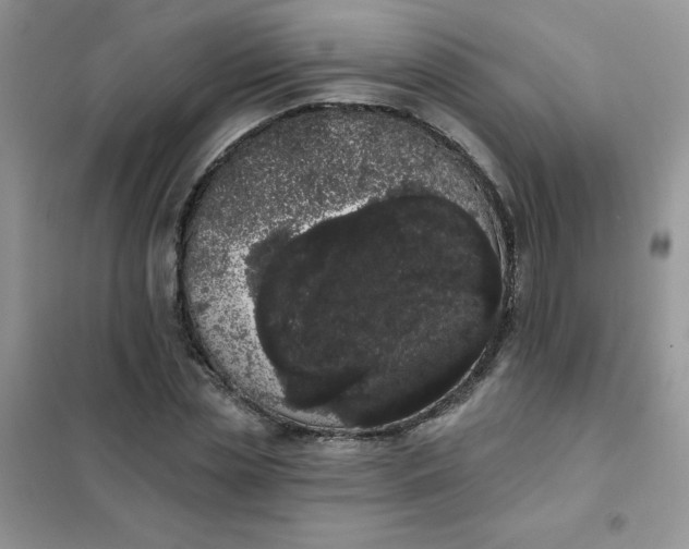 X0000101980829200808011058