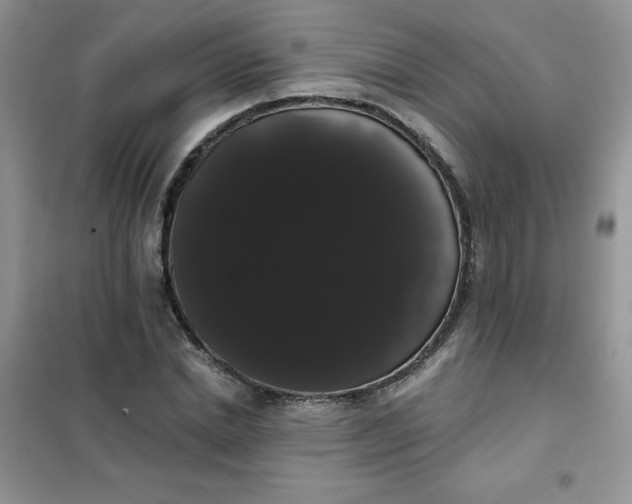 X0000101980830200808011058