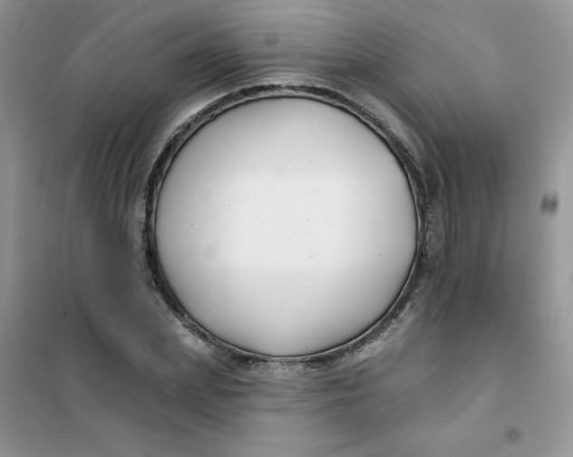 X0000101980831200808011058