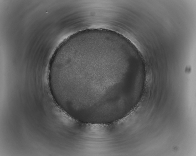 X0000101980832200808011058