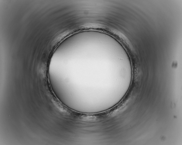 X0000101980833200808011058