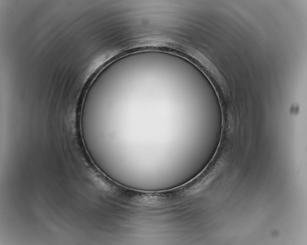 X0000101980834200808011058