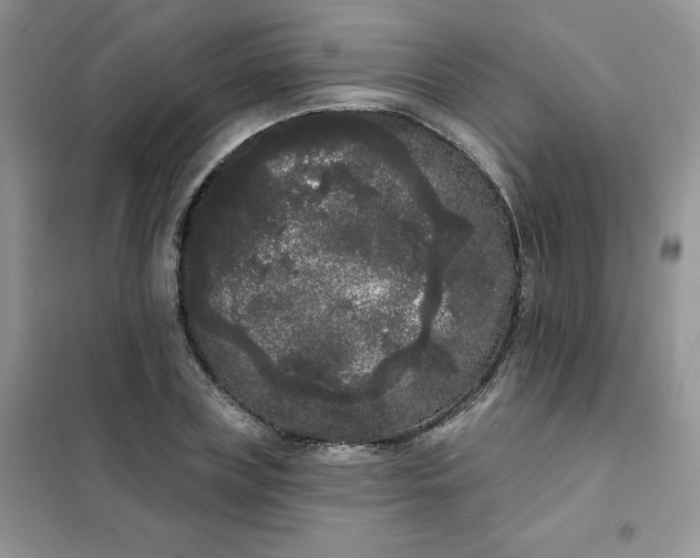 X0000101980835200808011058