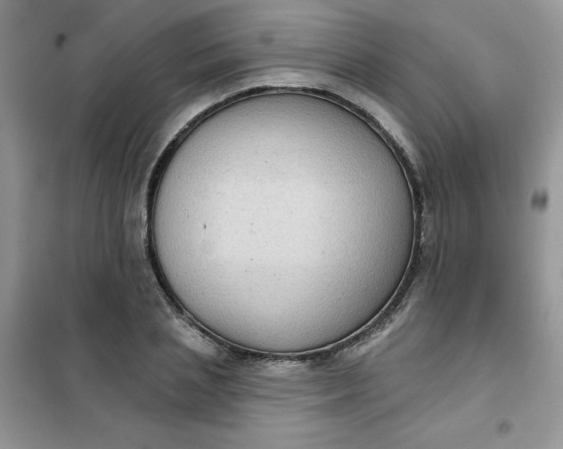 X0000101980837200808011058