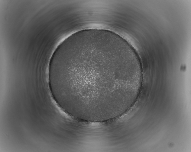 X0000101980839200808011058