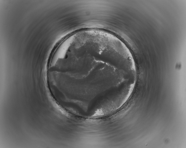 X0000101980840200808011058