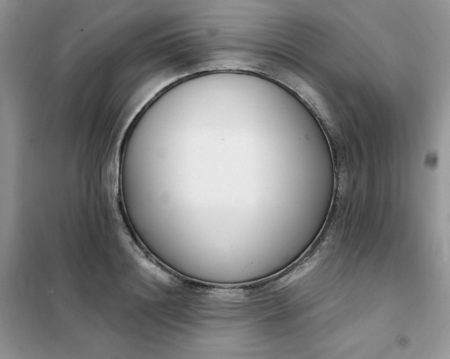 X0000101980844200808011058