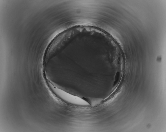 X0000101980845200808011058