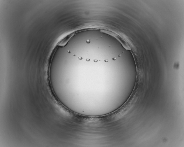 X0000101980846200808011058