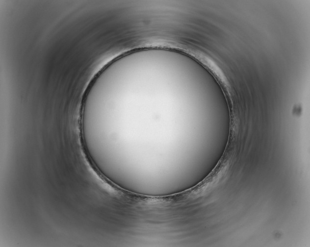 X0000101980847200808011058