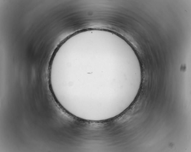 X0000101980848200808011058