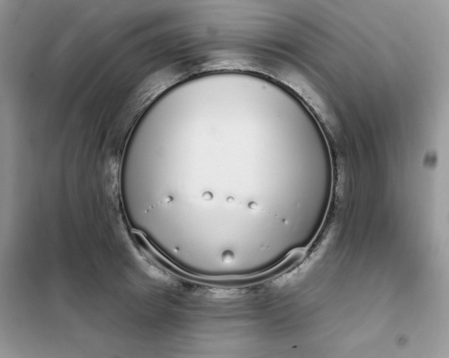 X0000101980849200808011058