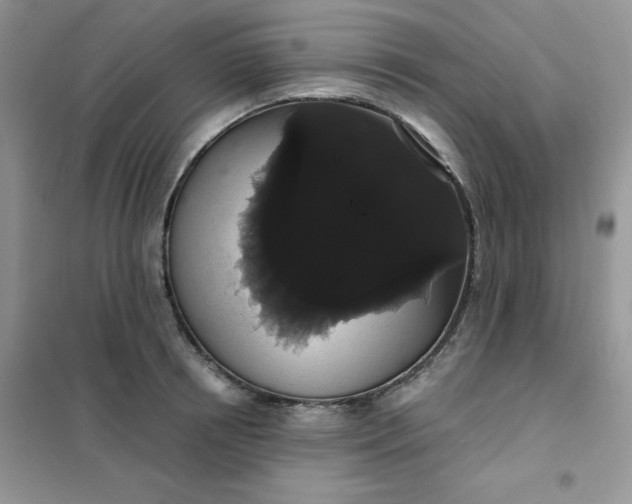 X0000101980850200808011058