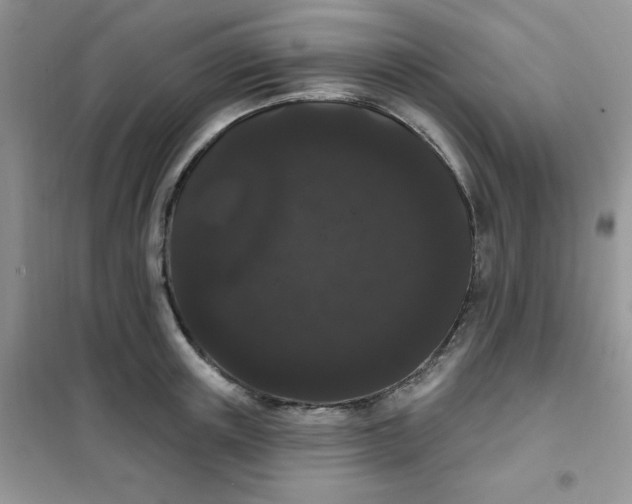 X0000101980851200808011058