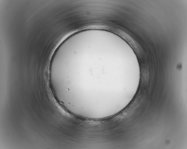 X0000101980852200808011058