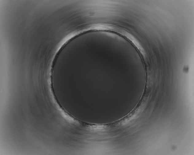 X0000101980853200808011058